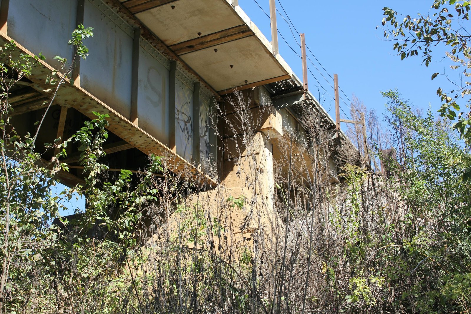 East pier (pier #1)